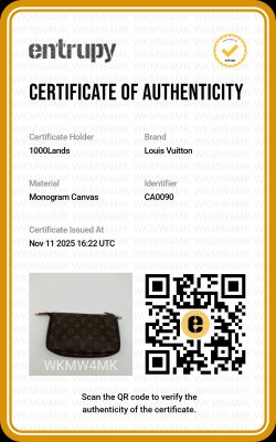 Louis Vuitton Monogram Clutch-Tasche