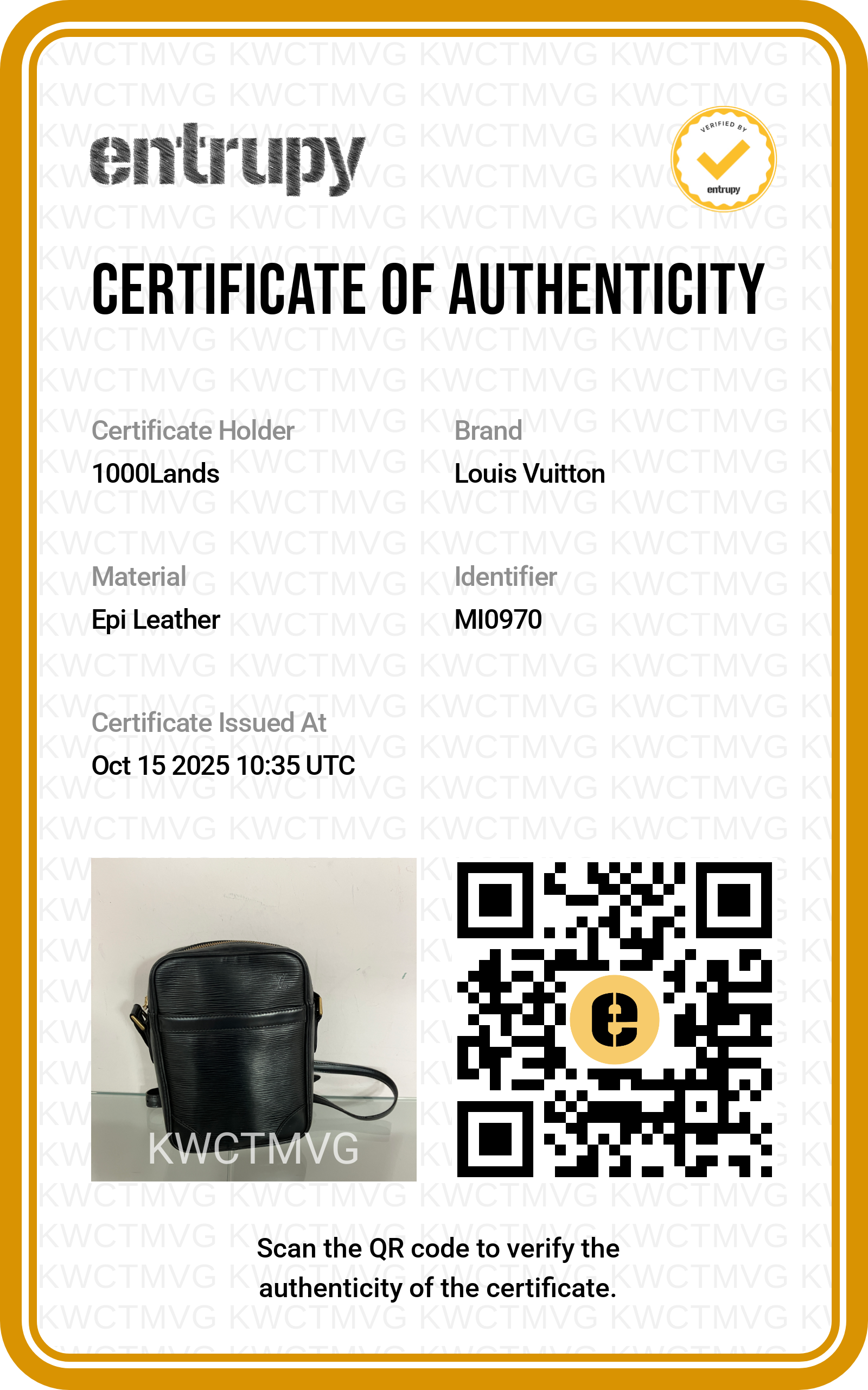 Louis Vuitton Danube Schultertasche aus schwarzem Epi-Leder