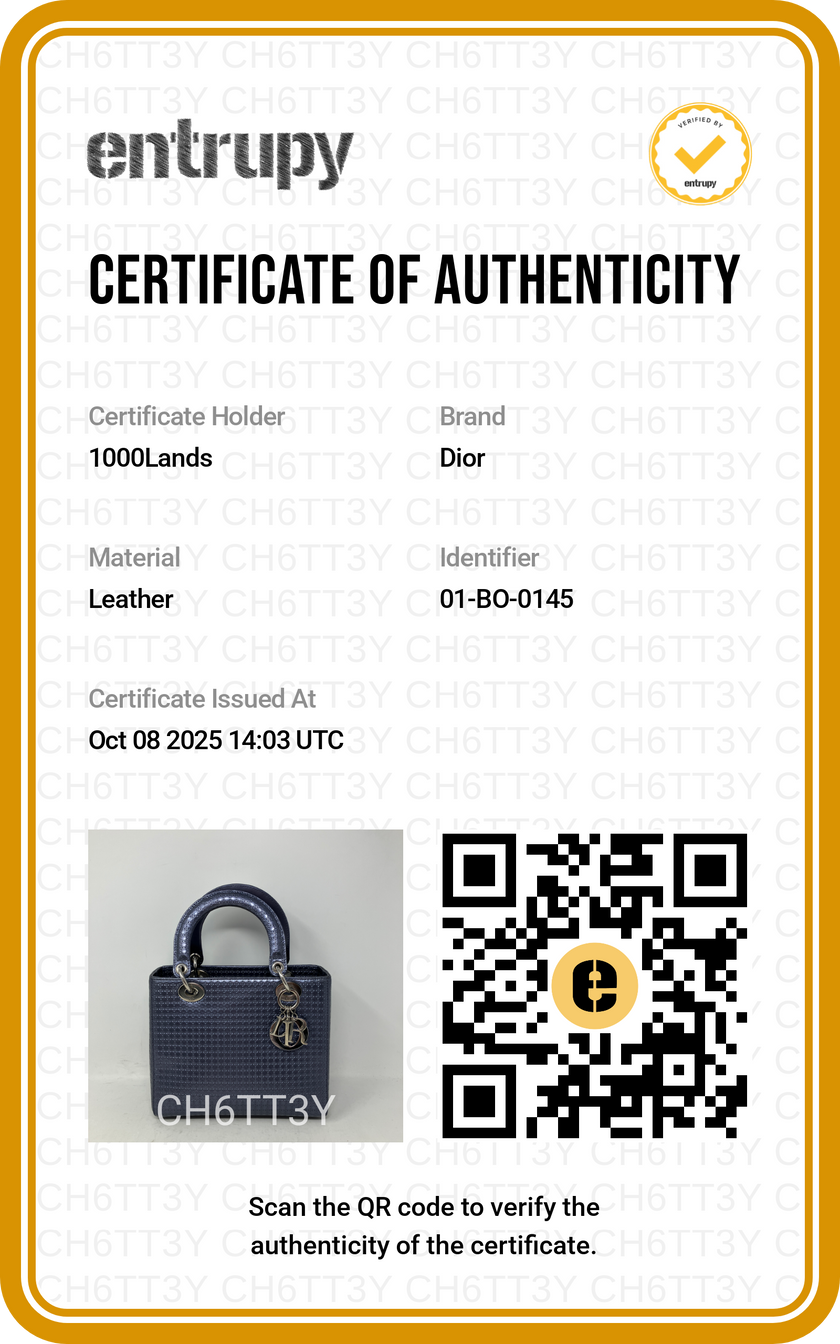 Borsa a mano Christian Dior, modello Lady Dior edizione limitata, grigio metallizzato