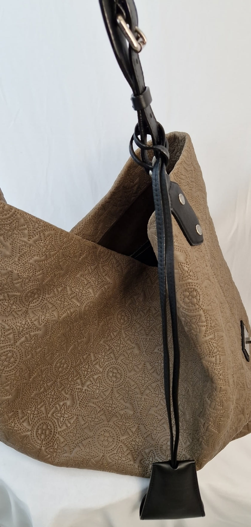 Louis Vuitton Antheia Hobo shoulder bag in beige monogram leather