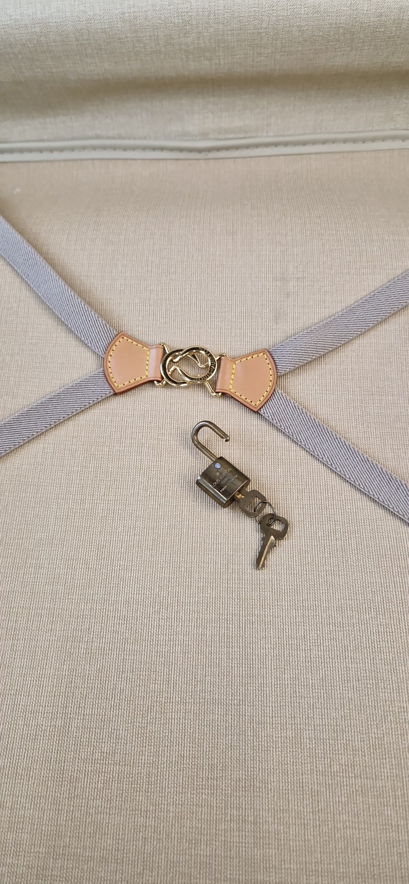 Louis Vuitton Sirius 65 Vintage Suitcase